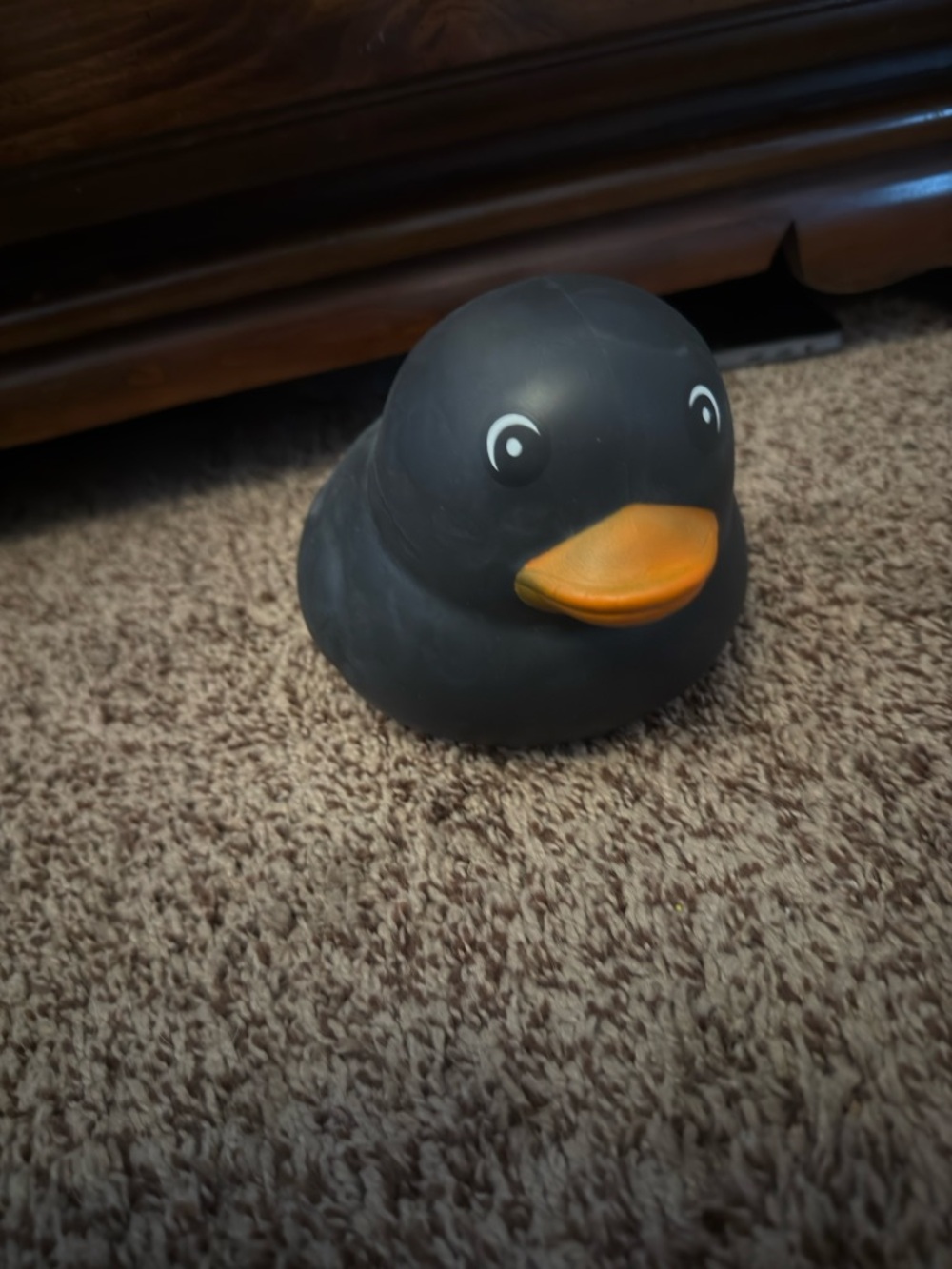 Sunny Days Squeezy Halloween Black Squishy Duck